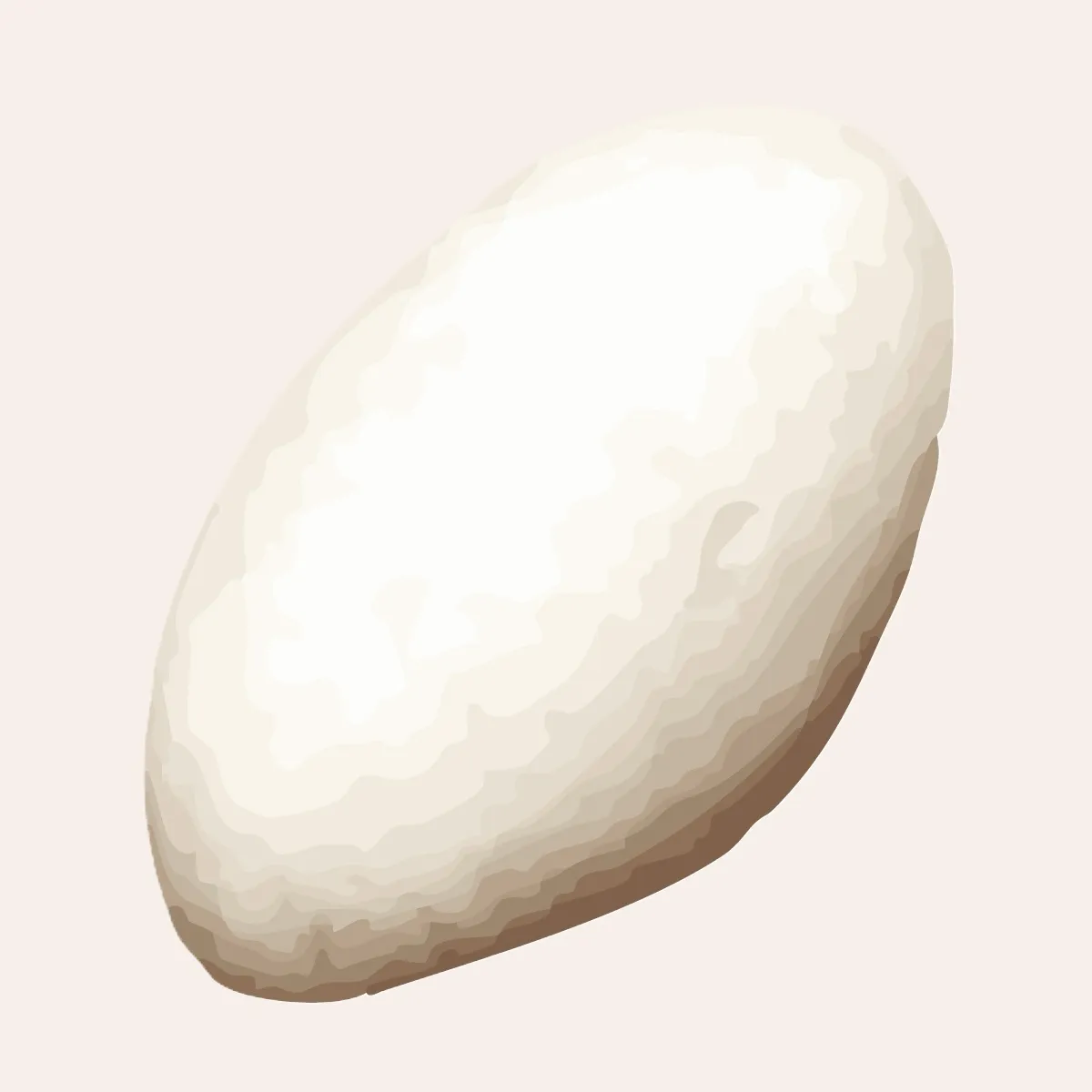 サザぱん ブラウンサーブ ここをクリックで詳細ページへ